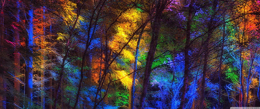 Foresta colorata ❤ per Ultra TV • Ampio, 3440X1440 Sfondo HD