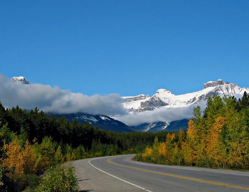 Icefields Parkway boyunca, Jasper Ulusal Parkı, ağaçlar, yol, gökyüzü, dağ HD duvar kağıdı