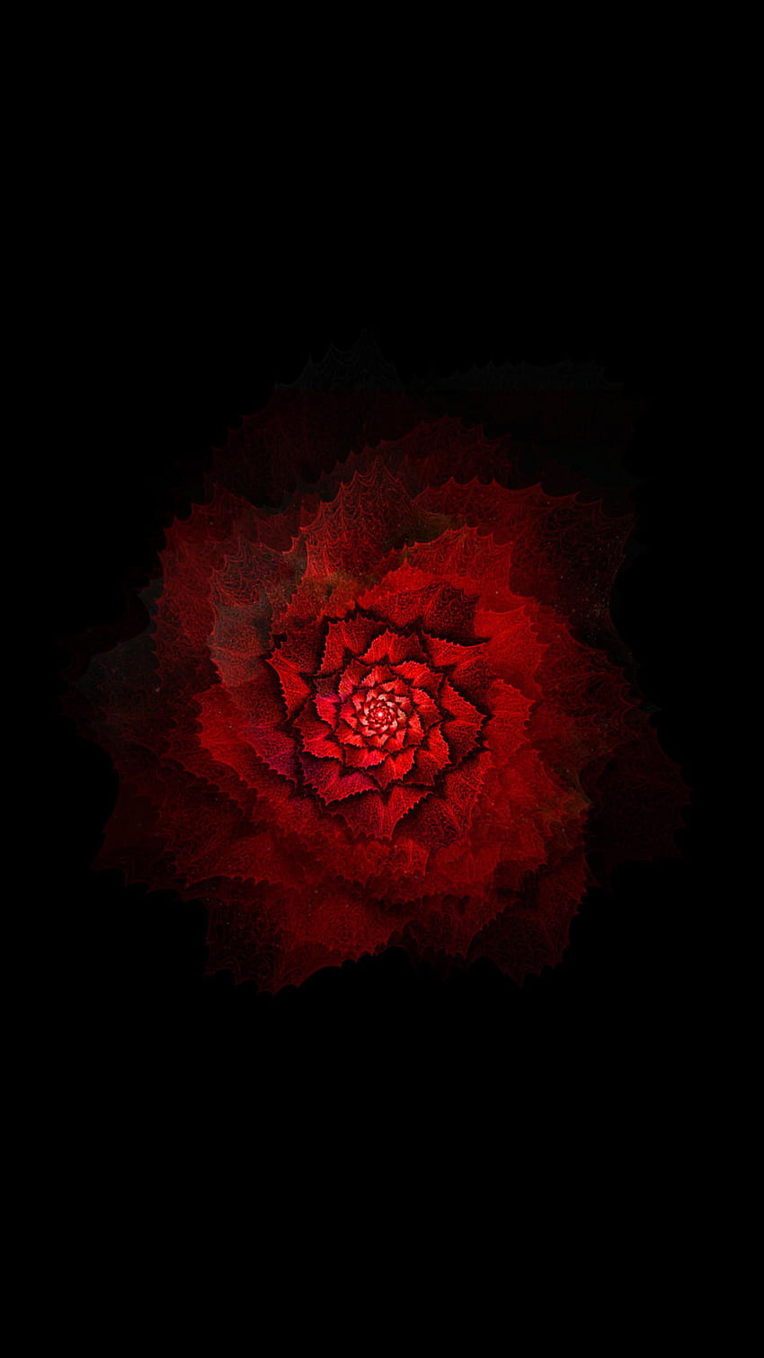 ดอกไม้ AMOLED สีแดงและสีดำ , Stock , Pretty วอลล์เปเปอร์โทรศัพท์ HD