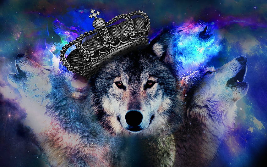 Awesome cool wolf HD wallpapers | Pxfuel