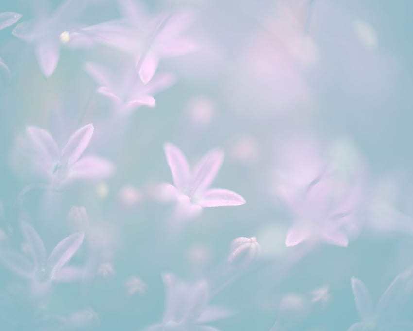 Pastel Flowers Ogq Background - Flower Pastel - - HD wallpaper