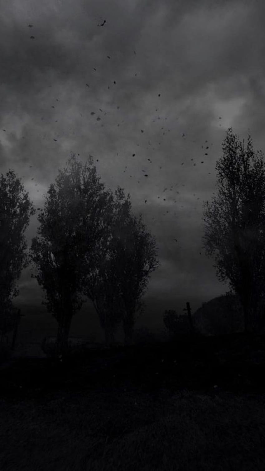 Deprimierend, Dunkel, Wald, Atmosphäre HD-Handy-Hintergrundbild