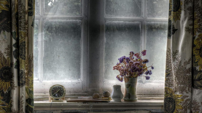 still life on a window sill r, still life, window, flower, vase, r, clock HD wallpaper
