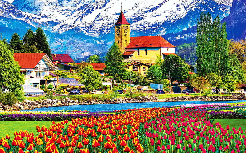 ブリエンツ町の花、スイス、村、春、教会、山、アルプス、チューリップ 高画質の壁紙