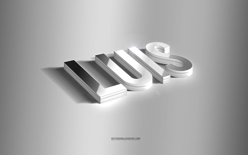 2K Free download | Luis, silver 3d art, gray background, with names ...