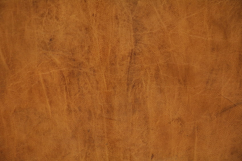 Tekstur Kulit, Sampul Buku Lama Wallpaper HD