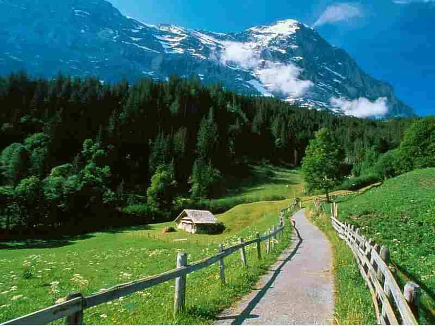 Alpes, route, champ, vert, montagne Fond d'écran HD