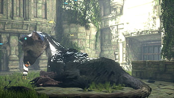 Video Game The Last Guardian HD Wallpaper by TacoSauceNinja