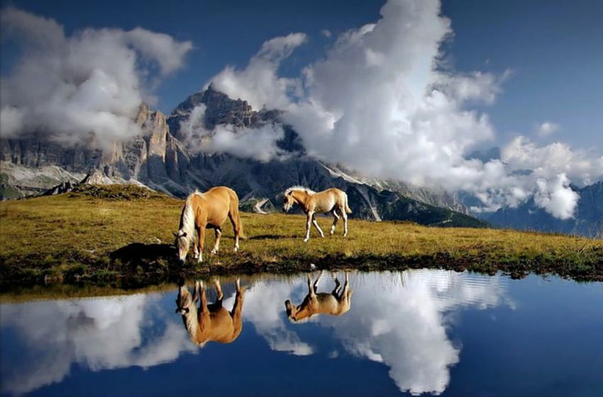 Close to the clouds, beautiful, lake, scenery, horses, reflection, clouds, nature, sky, mountains HD wallpaper