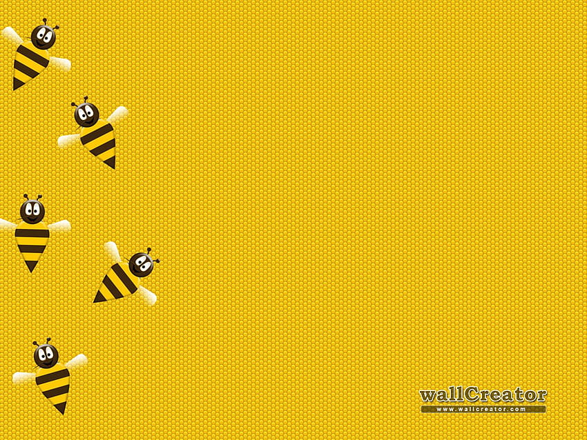 mel abelhas abelha rainha nucs apicultura papel de parede HD