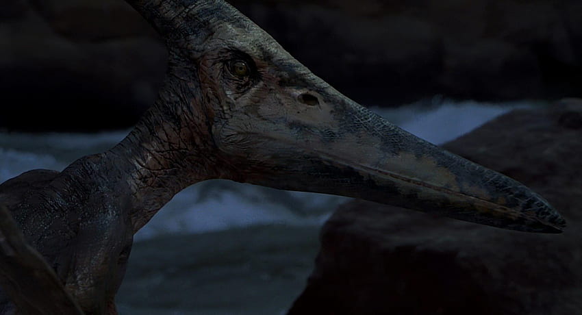 Bu Pteranodon'un Aslında Bir Animatronik Değil, CGI Olduğunu Öğrendiğimde Bugün Yaşındaydım. Jurassic Park III Eğrinin O Kadar Önündeydi, Bu Çılgınca. : R JurassicPark HD duvar kağıdı