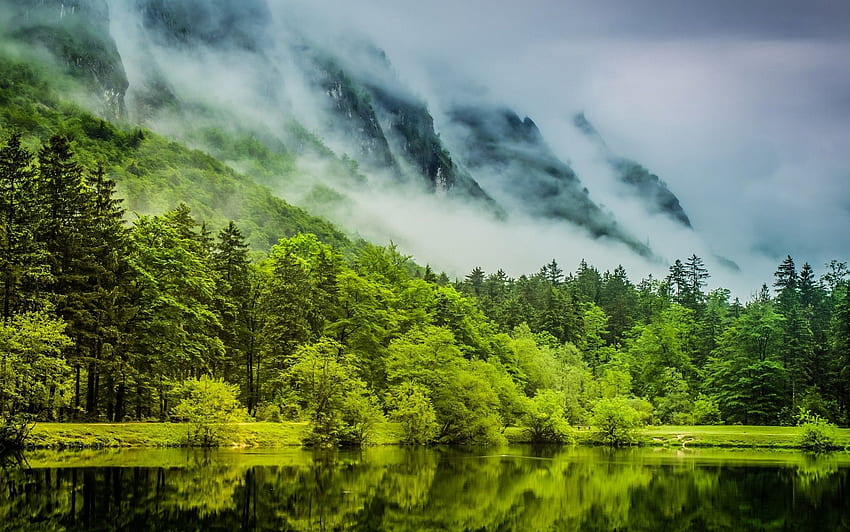 naturaleza, paisaje, verde, lago, niebla, bosque, montaña, agua, primavera, árboles, nubes, Alemania y móvil fondo de pantalla