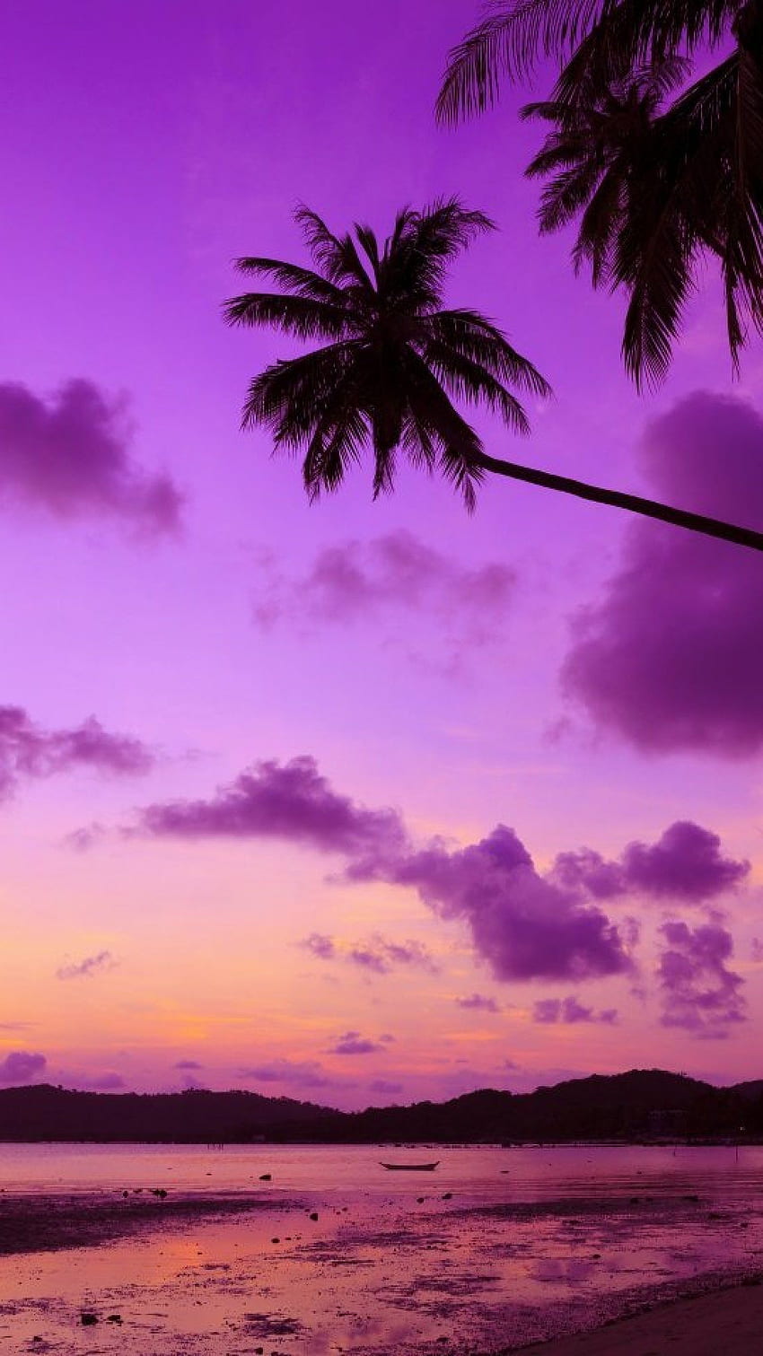 Purple Sunset, Purple Beach Sunset HD phone wallpaper | Pxfuel