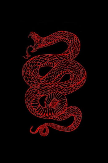 Red snake HD wallpapers | Pxfuel