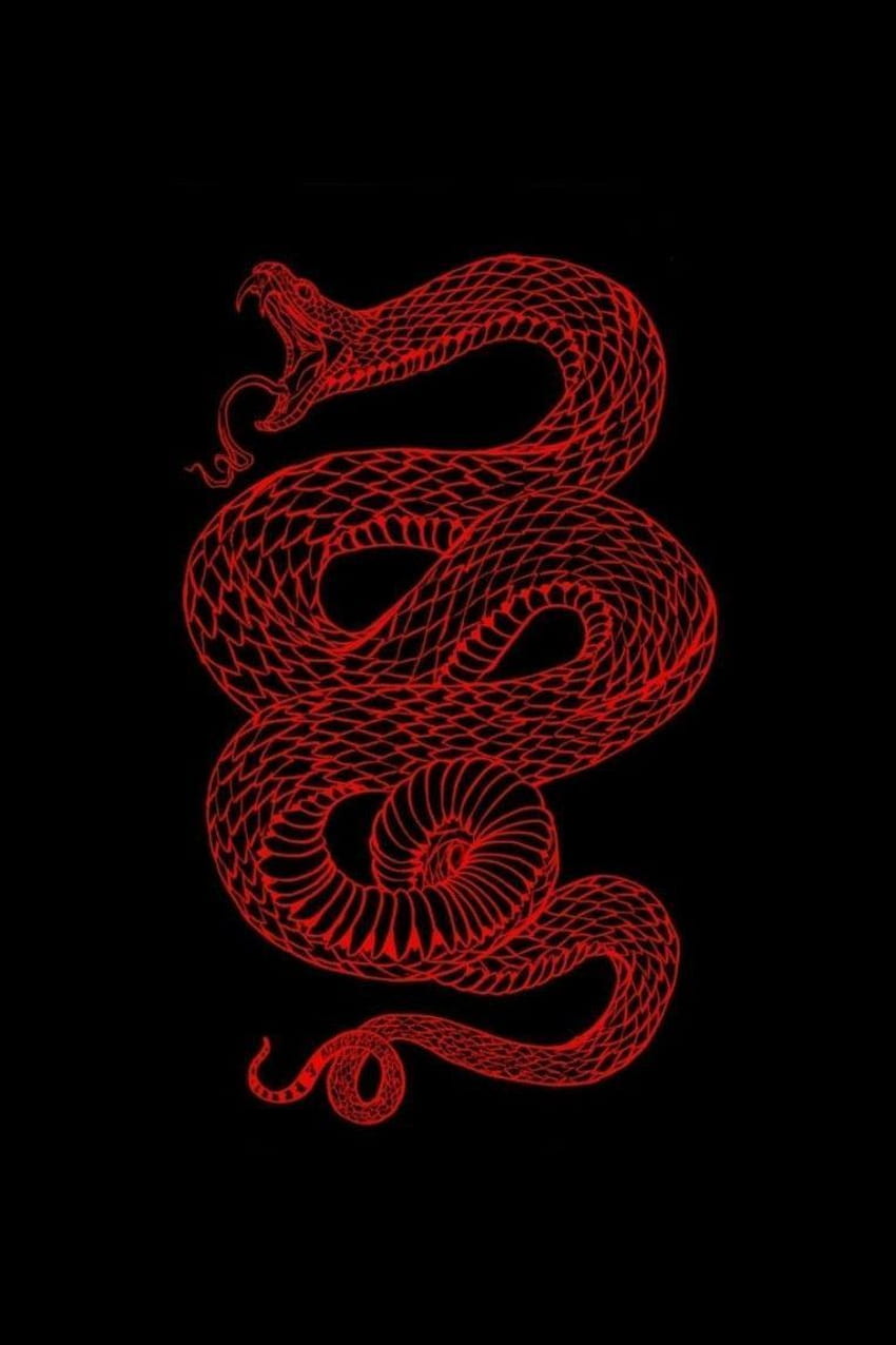 Червени змии, змийско изкуство HD тапет за телефон