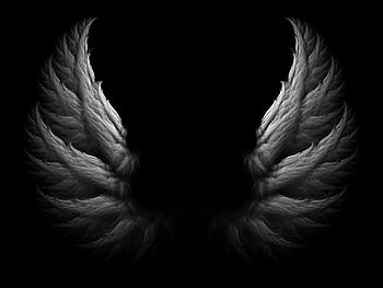 Angel wings background HD wallpapers | Pxfuel