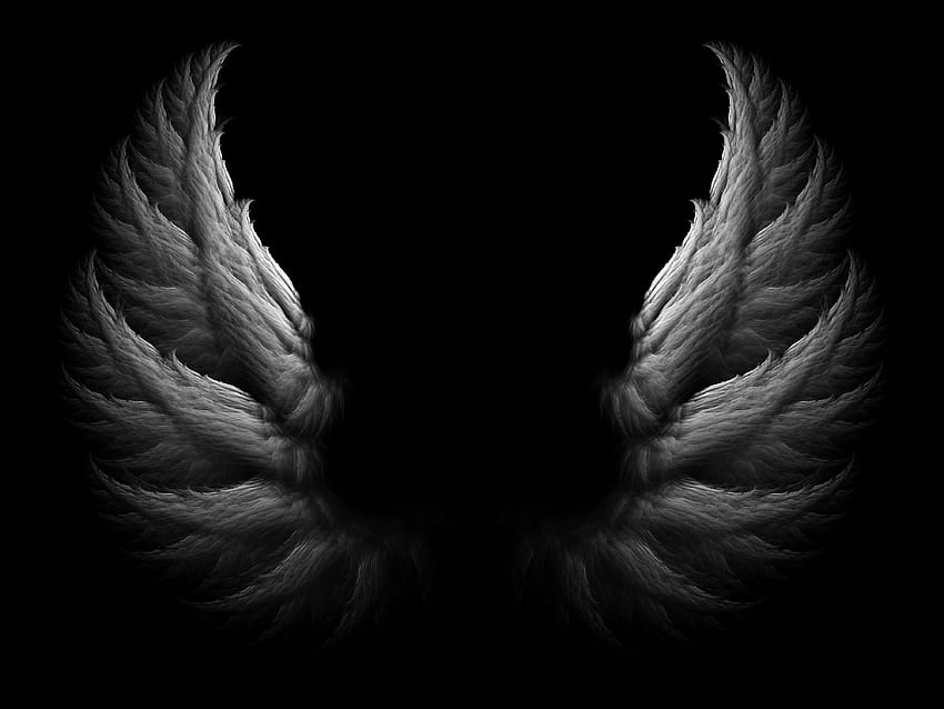 천사 날개 배경 신선한 천사 날개, 어두운 날개 HD 월페이퍼