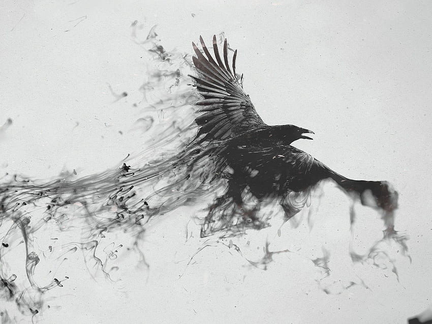 Raven, Bird, Flying, Smoke, Black white Background. Smoke art, Crow tattoo, Smoke drawing HD wallpaper