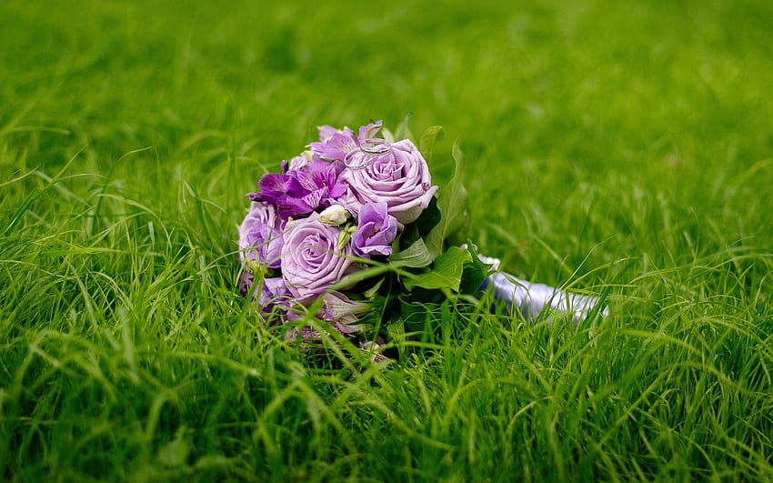 ウェディング ブーケ、紫のバラ、バラのブーケ、ブライダル ブーケ、芝生の上のブーケ 高画質の壁紙