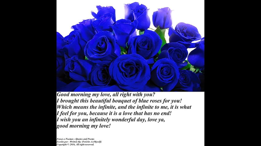 Good morning my love, brought a blue roses bouquet, i love you! [Message] [Quotes and Poems] HD wallpaper