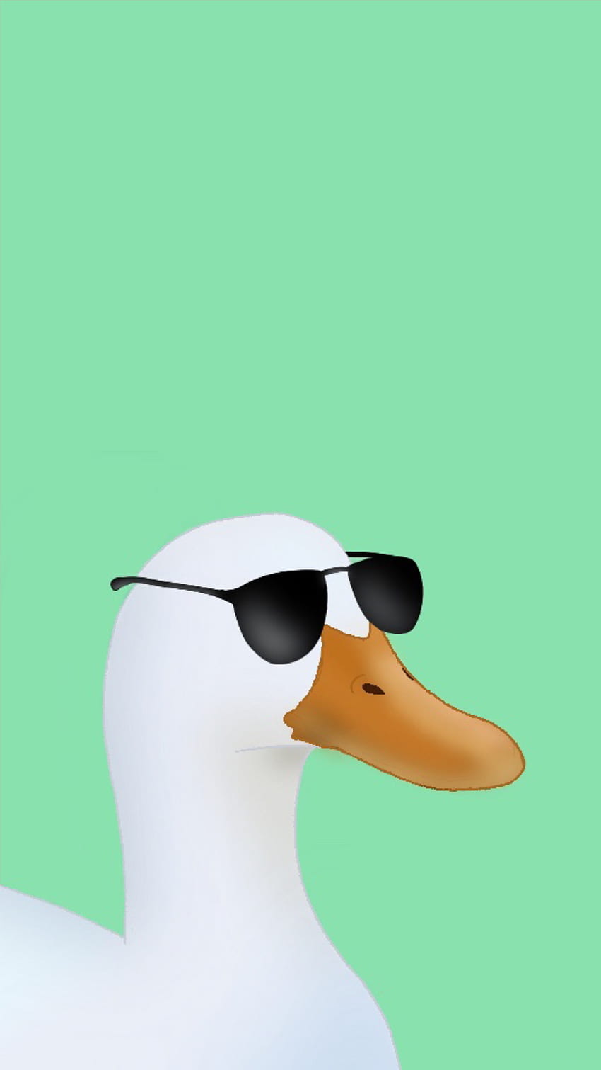 Duck with sunglasses, comfy, animal, funny HD phone wallpaper | Pxfuel