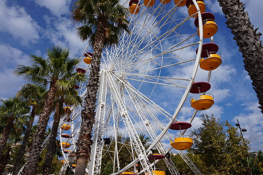 Cities, Palms, Ferris Wheel, Attraction HD wallpaper