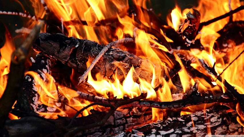 Brennendes Holz im Kamin, Kamin, Grafik, Feuer HD-Hintergrundbild