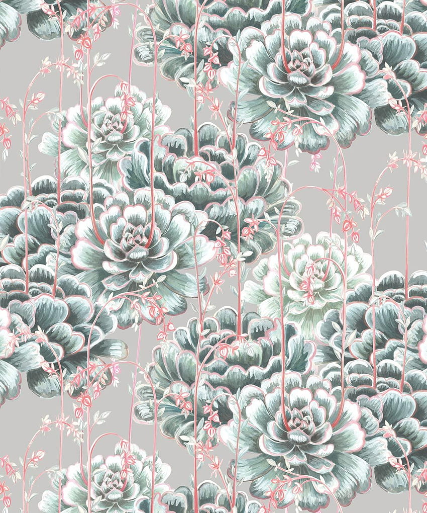 Succulents • Stunning Cactus Design • Milton & King UK HD phone wallpaper