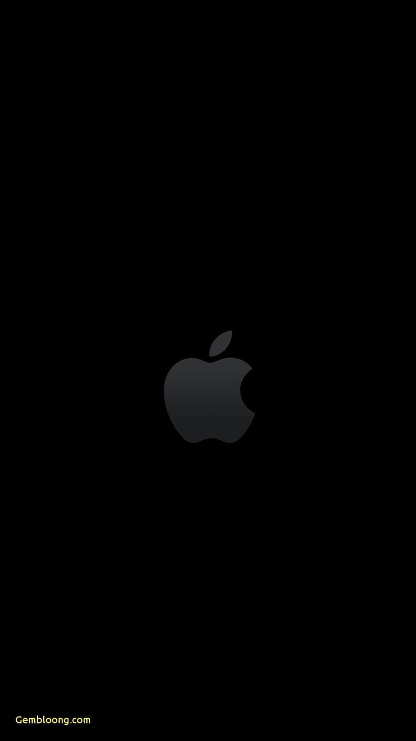 Pin de zeekoo Muhammed en Black apple. Fondos de pantalla para iphone, Fondos de pantalla de iphone, Fondo de pantalla de manzana, Black Apple 7 HD phone wallpaper
