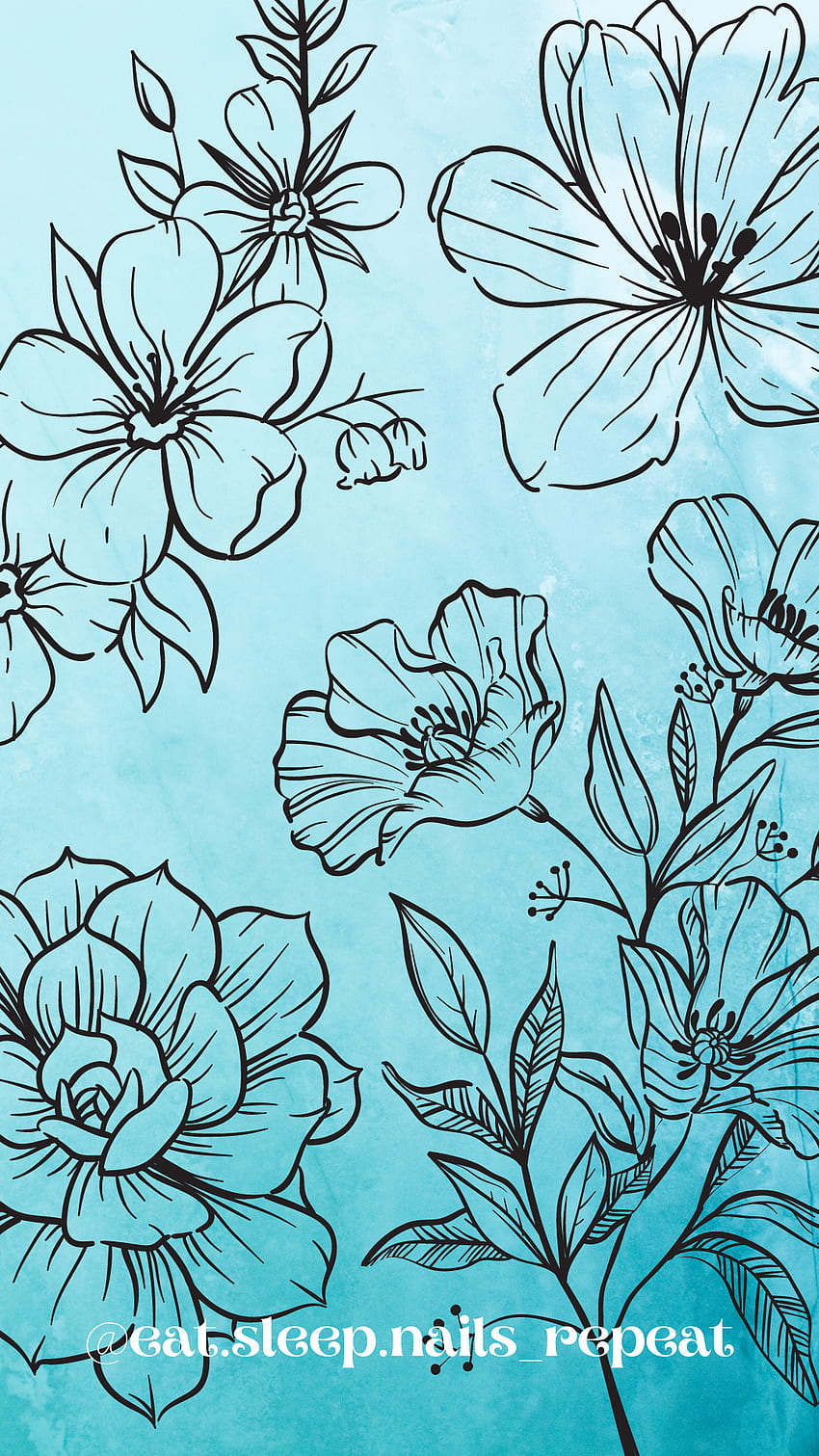 Teal outline flower, aqua, petal HD phone wallpaper
