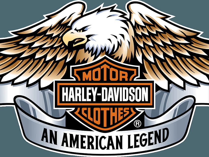 Harley Davidson Logo Gallery . salud, Harley-Davidson Eagle HD wallpaper |  Pxfuel