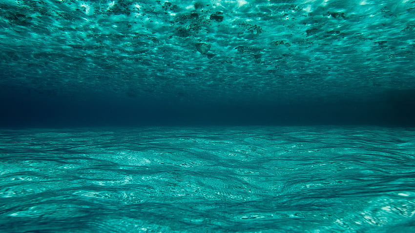 ocean, water, underwater, maldives 16:9 background, 2560 X 1440 Sea HD wallpaper
