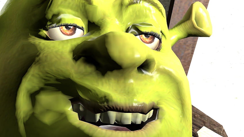 Meme Shrek . PNG & GIF BASE, Funny Shrek HD wallpaper