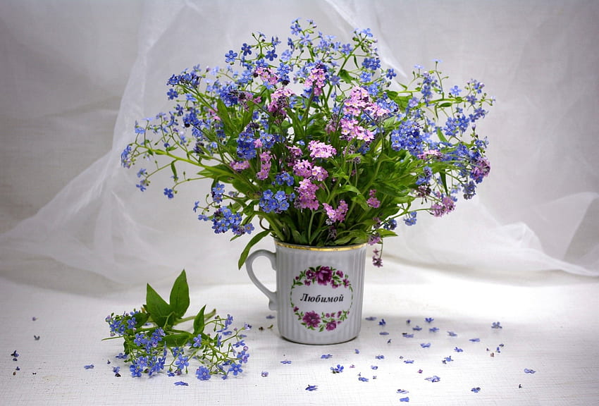 *** Bouquet not forget me ***, bouquet, nature, flowers, flower HD wallpaper