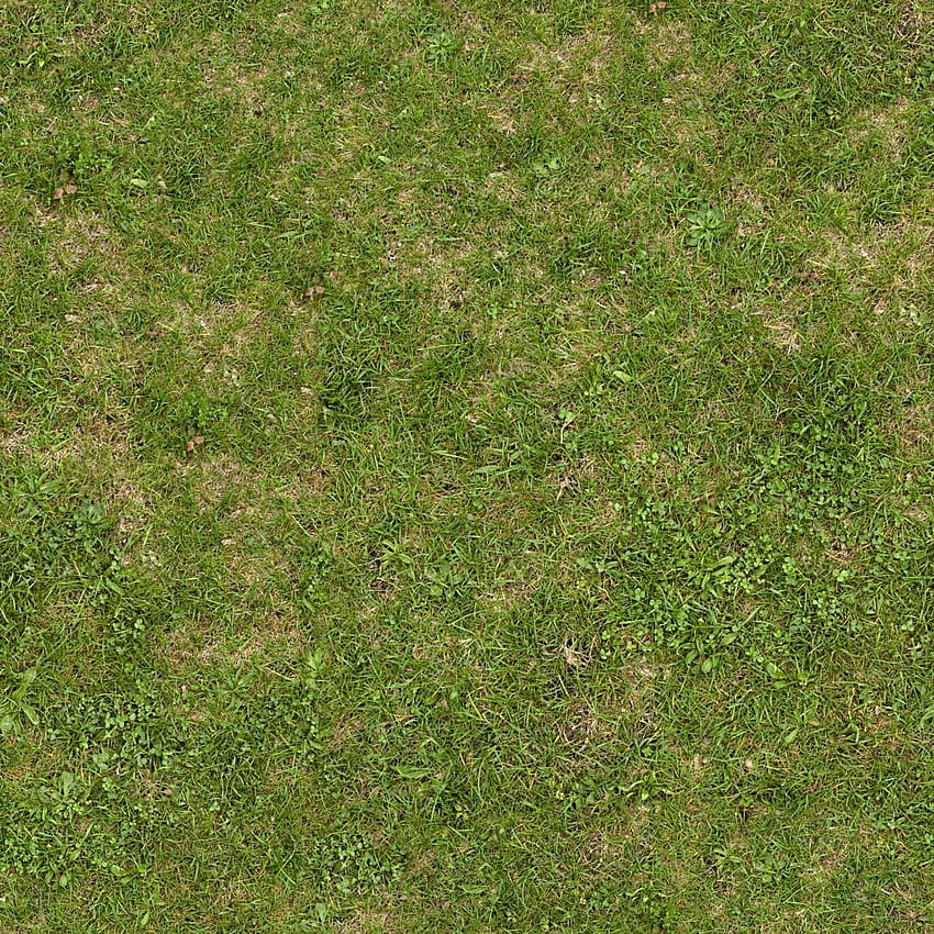 Terreno herboso con parches de hierba muerta y tréboles, perfecto para la mayoría de los entornos al aire libre y es perfecto en 2020 fondo de pantalla del teléfono
