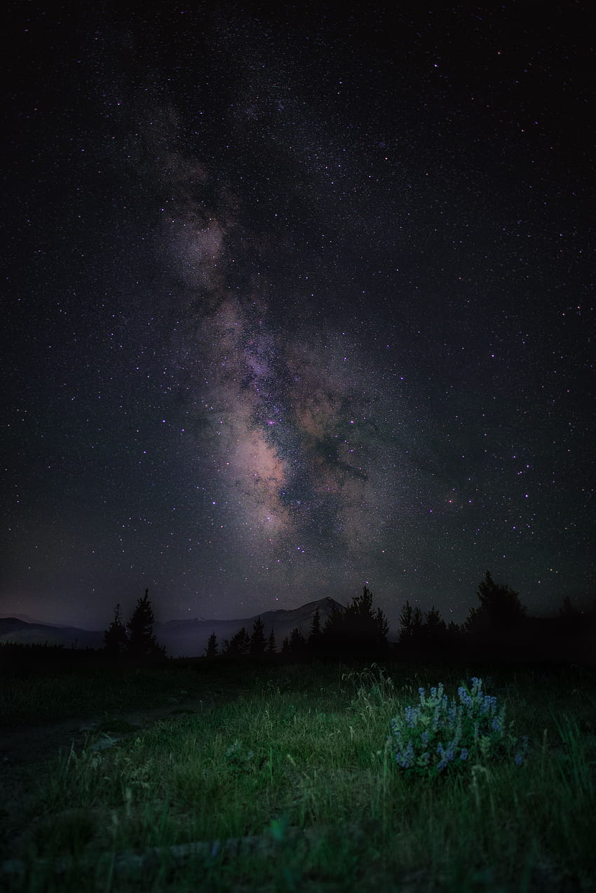 ธรรมชาติ หญ้า ภูเขา กลางคืน ท้องฟ้าเต็มไปด้วยดวงดาว ทางช้างเผือก วอลล์เปเปอร์โทรศัพท์ HD