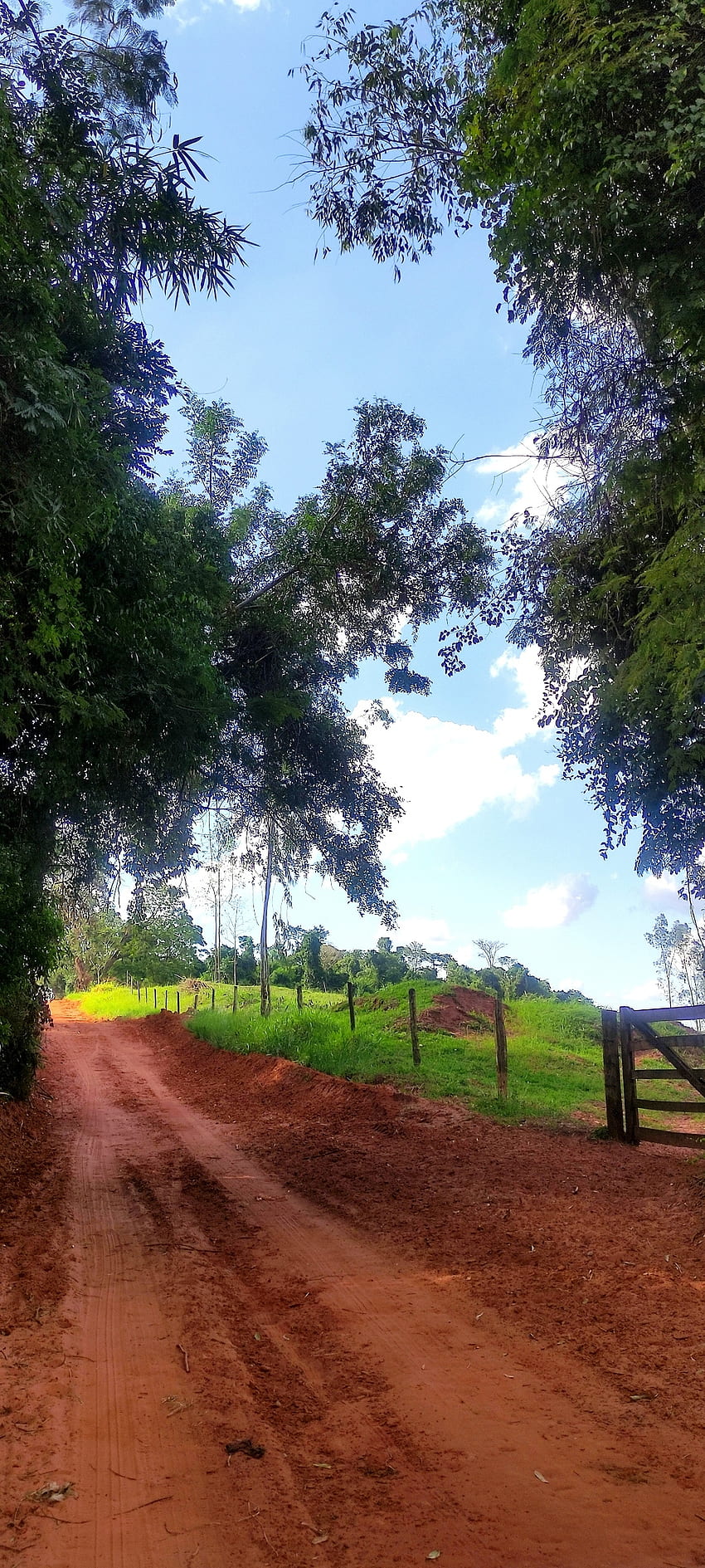 Hergestellt in Roça, sitio, terra, ländlich, estrada, fazenda, roca HD-Handy-Hintergrundbild
