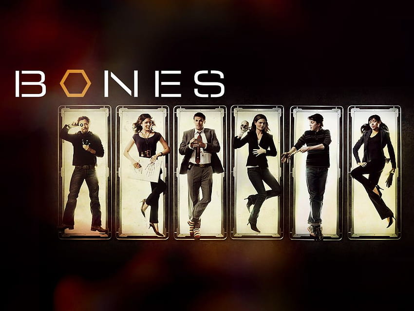 Bones I know it's a TV show but it's good. Movies, TV shows that i, New TV Series Bones HD wallpaper