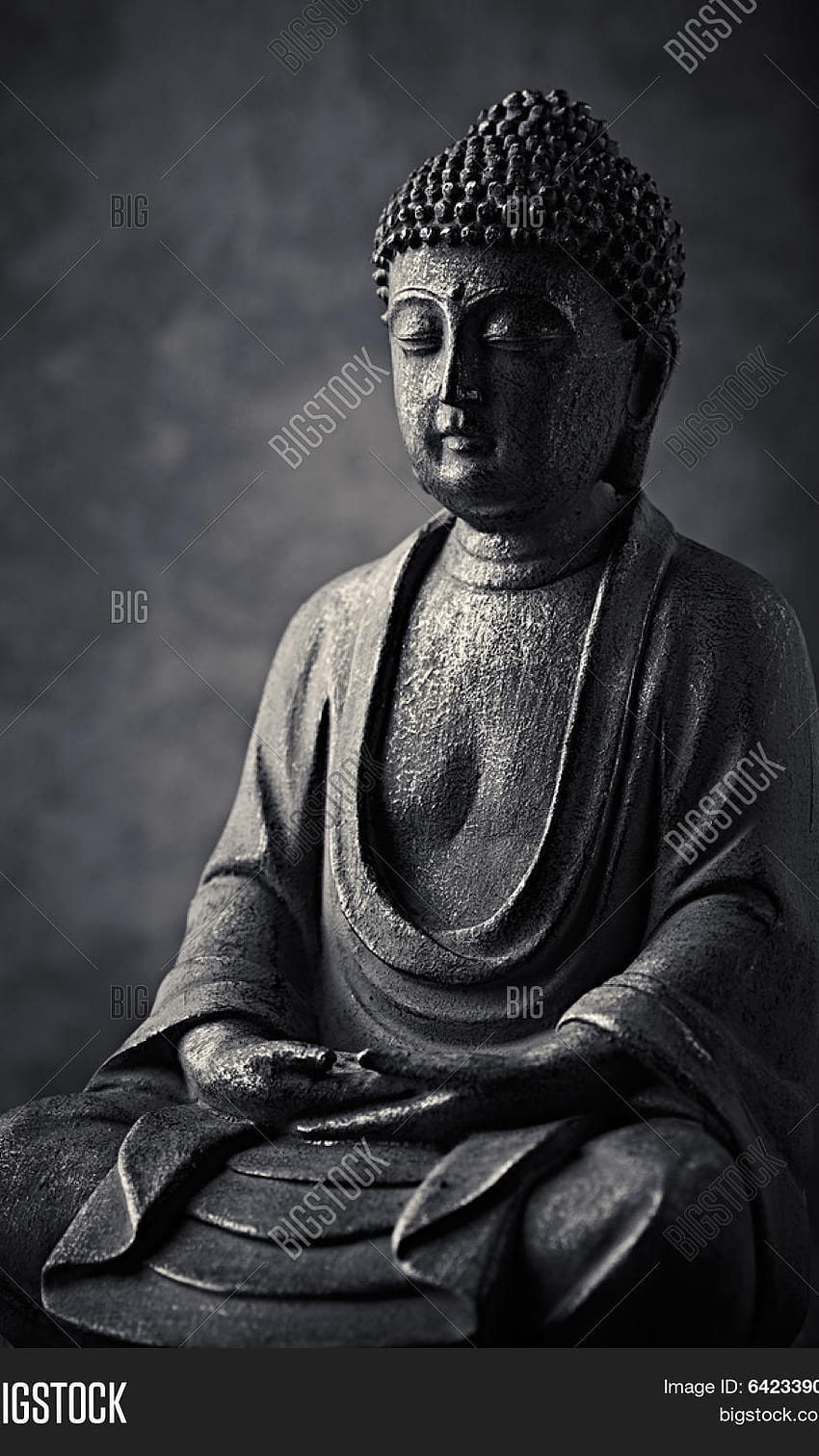 Siddharth Gautam, Lord buddha, sidharth gautam, lord, buddha HD phone wallpaper