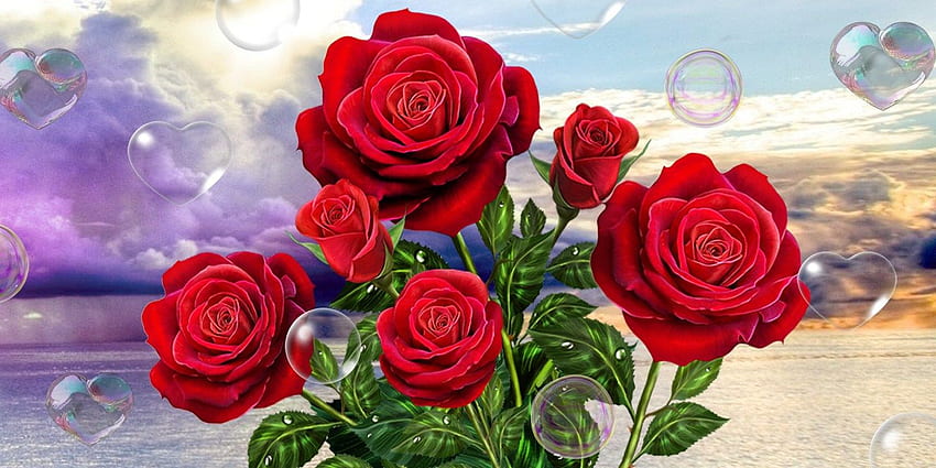 Google Play の Rose Live Android アプリ - 3D Rose、1440x720 高画質の壁紙
