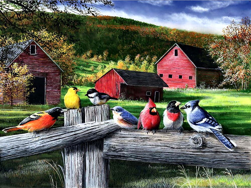 Songbird Friends FC, Goldfinch, животно, птица, , пойни птици, птица, изкуство, Bluebird, Blue Jay, красива, илюстрация, Chickadee, произведение на изкуството, кардинал, широк екран, дива природа, авлига, природа, Rosebreasted Grosbeak HD тапет