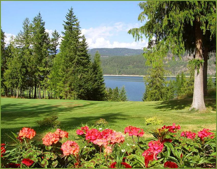Fauquier, British Columbia, trees, flowers, lake, land HD wallpaper