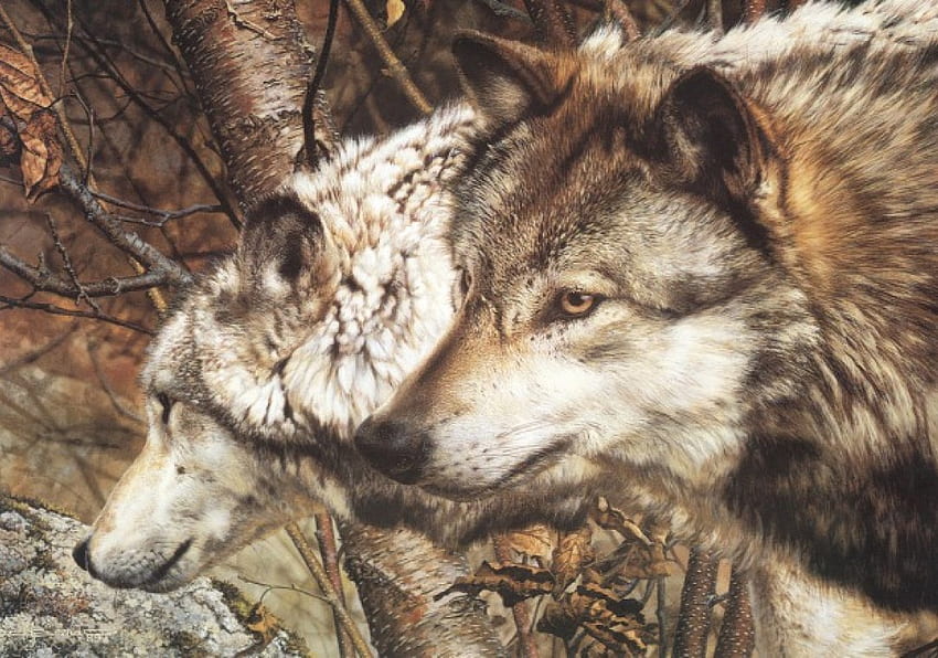 Wolves, painting HD wallpaper