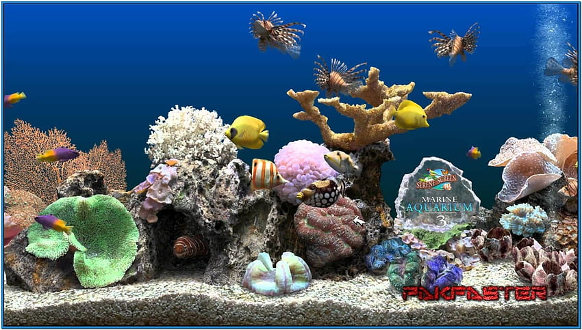 Screensaver marine aquarium deluxe 3.2 - HD wallpaper