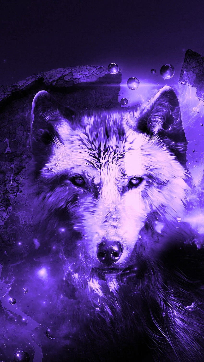 Cool Wolf iPhone  Awesome HD phone wallpaper  Pxfuel