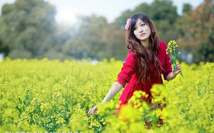 Beautiful Girls With Flowers – High Quality High, Pretty Chinese HD wallpaper