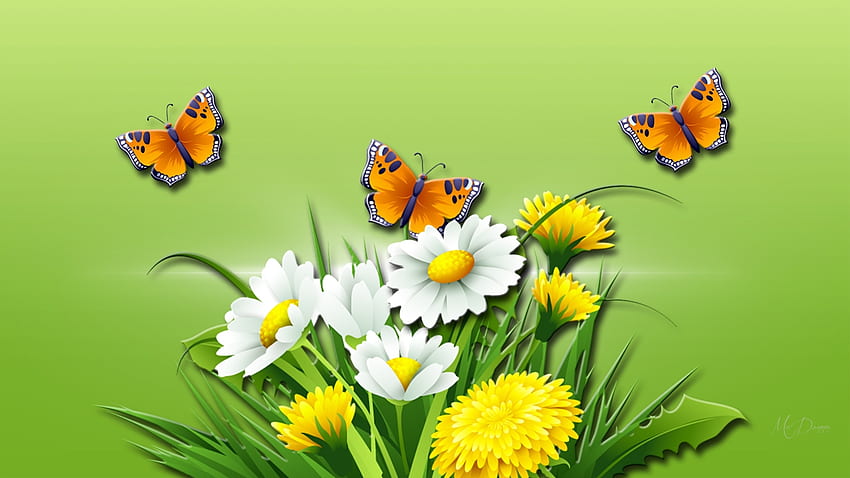 春、蝶、夏、緑、草、タンポポ、ヒナギク 高画質の壁紙