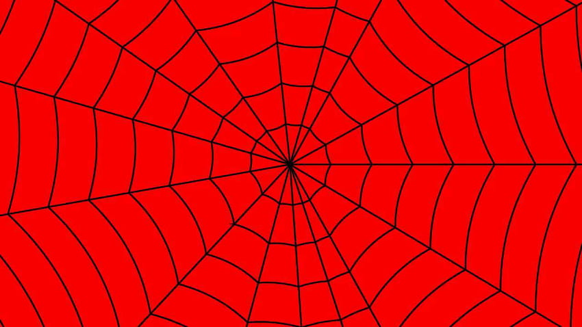 Spiderman Web 4. für Ultra High, Spider-Man Web HD-Hintergrundbild