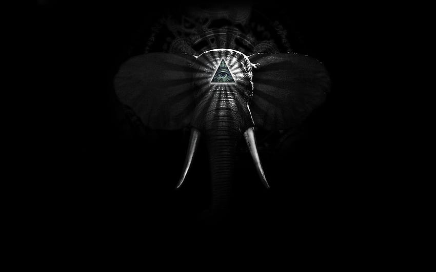 Elephant , Baby Elephant Dark HD wallpaper