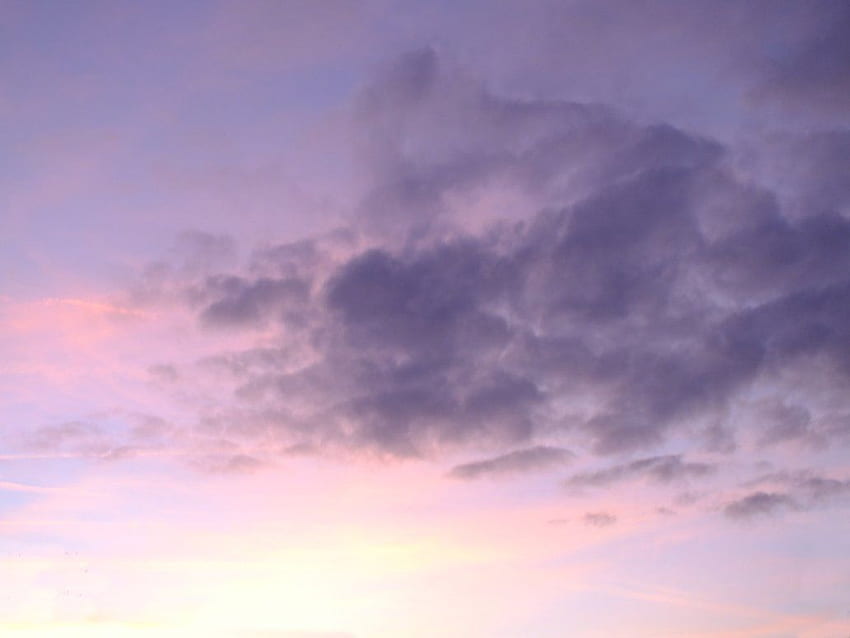 Dawn - Pastel pink sky HD wallpaper